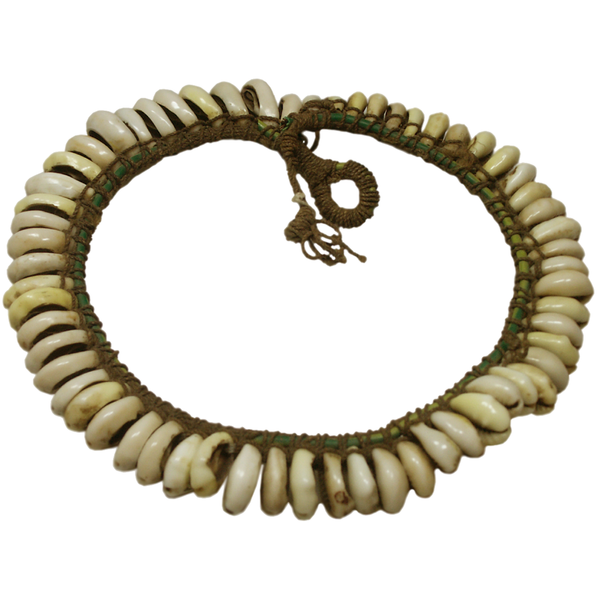 Africa, Cowrie Shell Necklace (obverse)