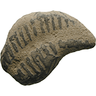 Africa, Cowry Imitation from Stone (obverse)