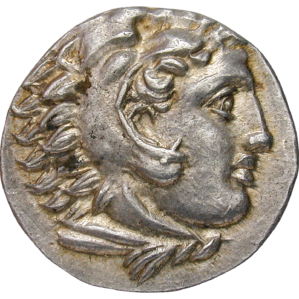 Alexanderreich, Alexander III. der Grosse, Drachme (obverse)