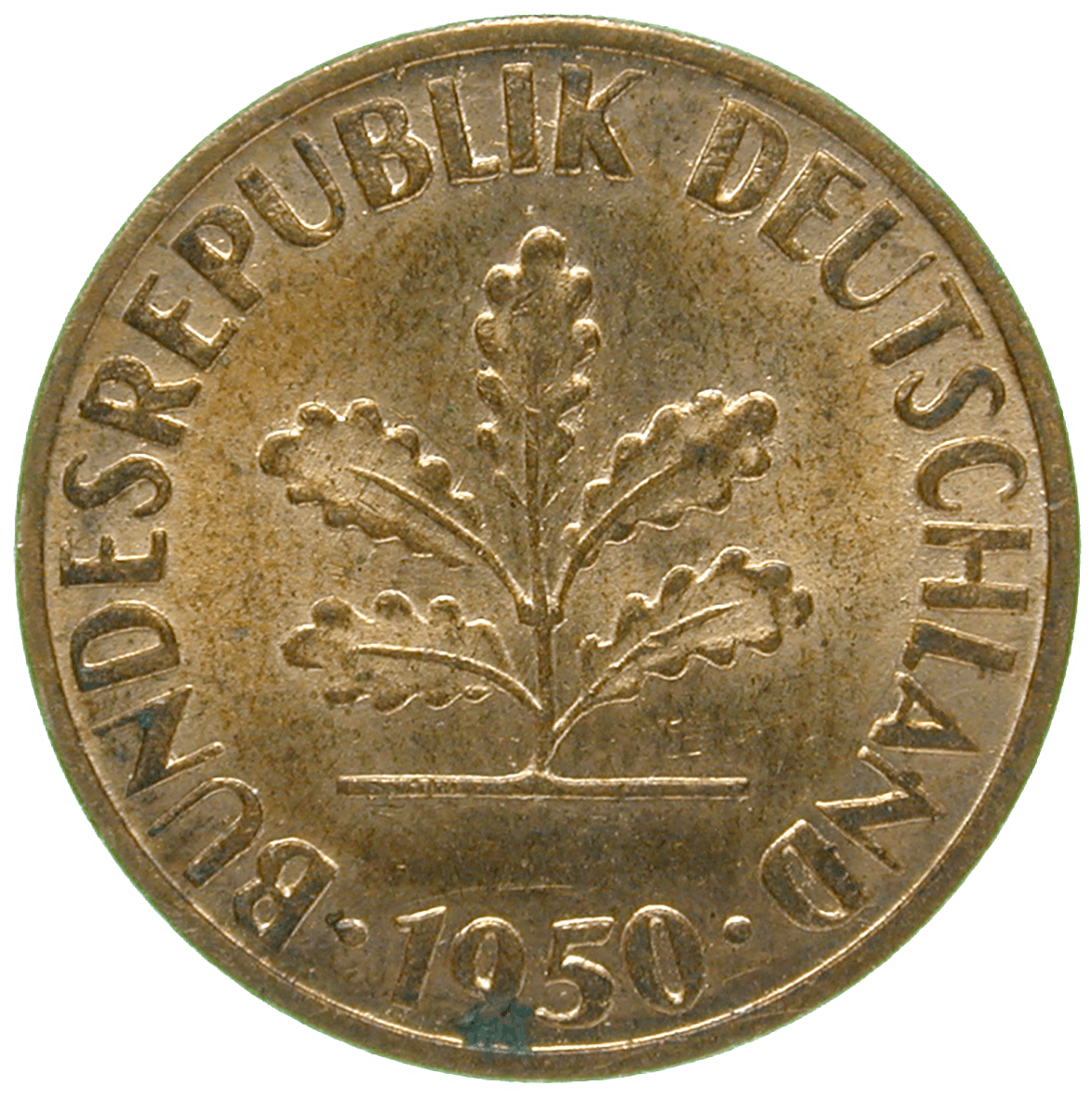 Bundesrepublik Deutschland, 1 Pfennig 1950 (obverse)