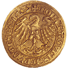 Holy Roman Empire, City of Nuremberg, Goldgulden 1507 (obverse)