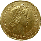 Kingdom of France, Louis XIV, Louis d'or 1646 (obverse)