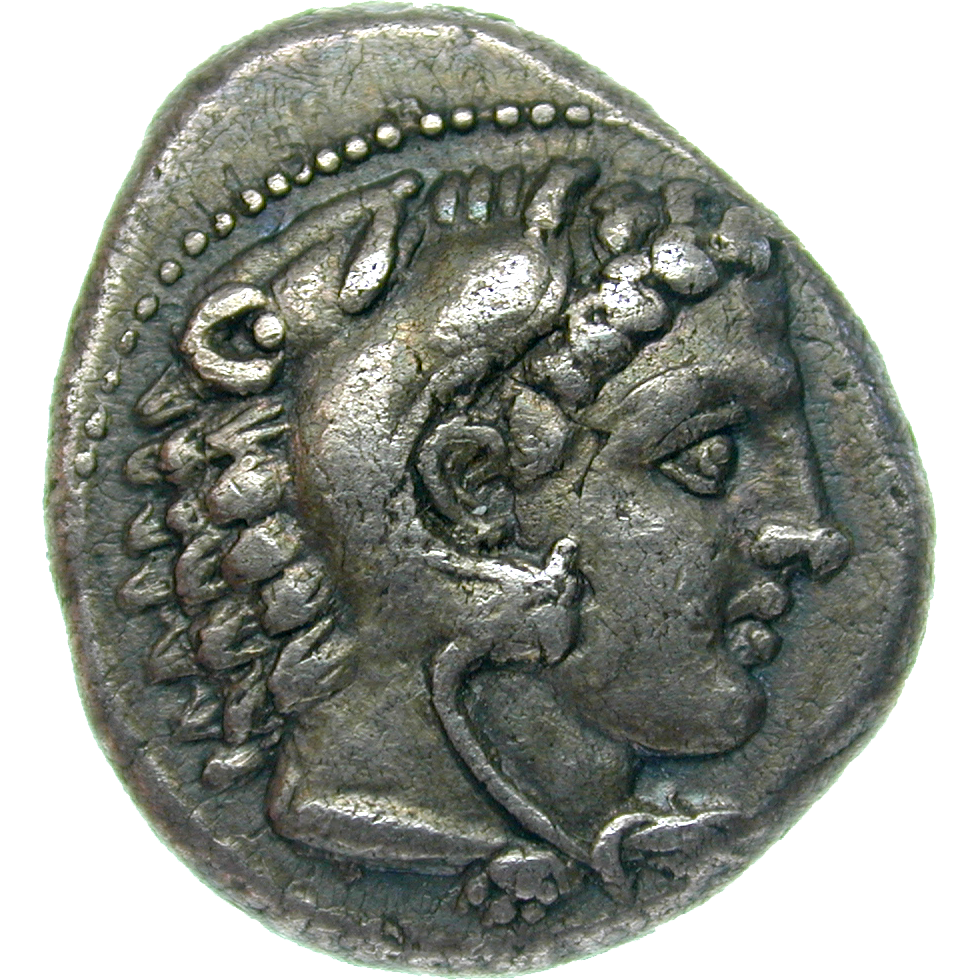 Königreich Makedonien, Philipp II., Didrachme (obverse)