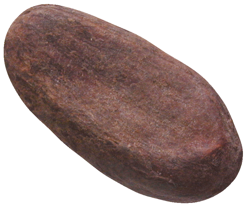 Lateinamerika, Kakaobohnen (obverse)