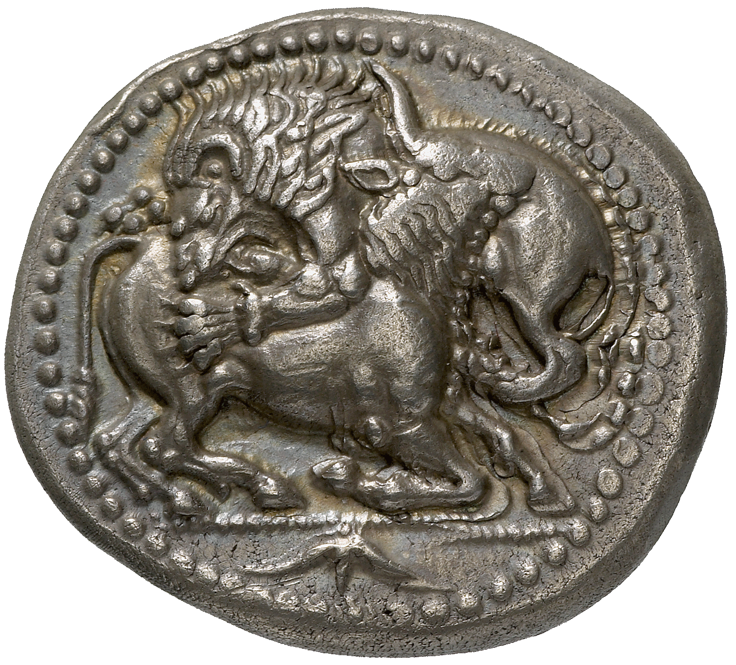 Macedonia, Acanthus, Tetradrachm (obverse)