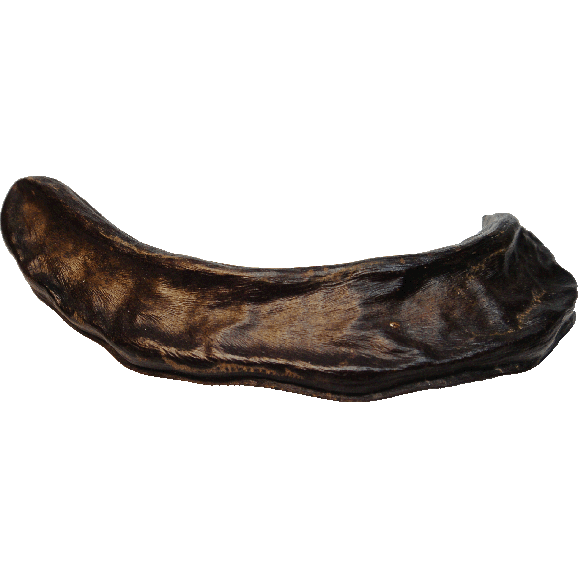 Mediterranean and Western Asia, Pod of the Carob Tree (obverse)