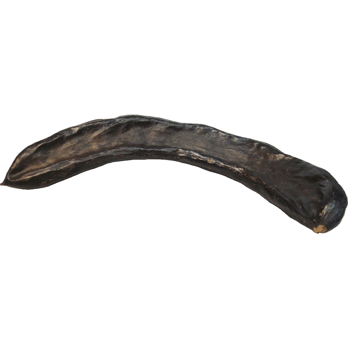 Mediterranean and Western Asia, Pod of the Carob Tree (reverse)