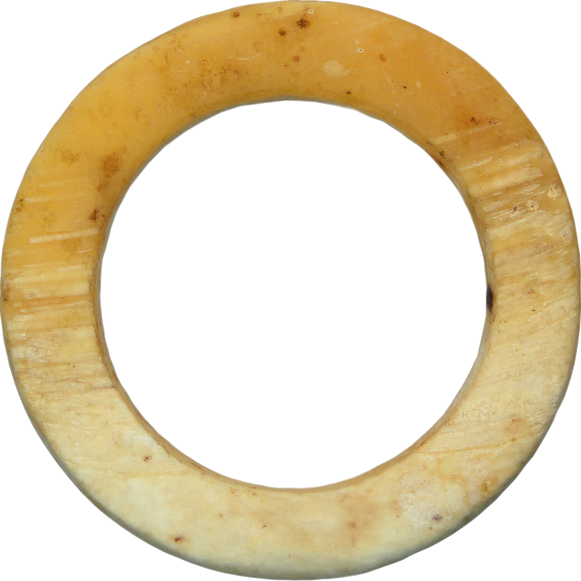 Melanesia, Western Solomon Islands, Bakia Clam Shell Ring with a High Proportion of Yellow (obverse)
