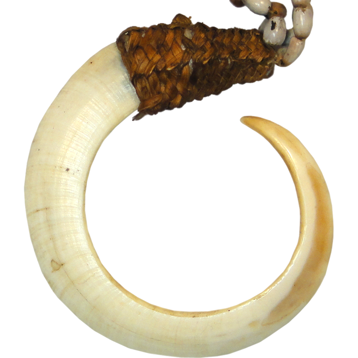 Papua New Guinea, Bena-Bena Tribe, Boar Tusk on a String of Coix Seeds (reverse)