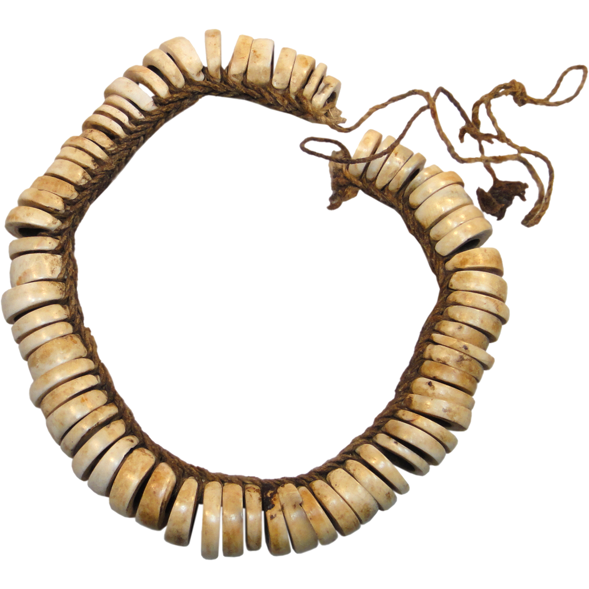 Papua New Guinea, Milne Bay Province, Necklace from Conus Shell Beads (obverse)