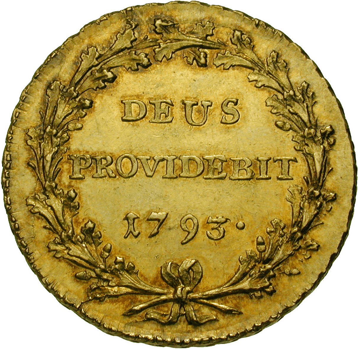 Republic of Berne, Double Duplone 1793 (reverse)