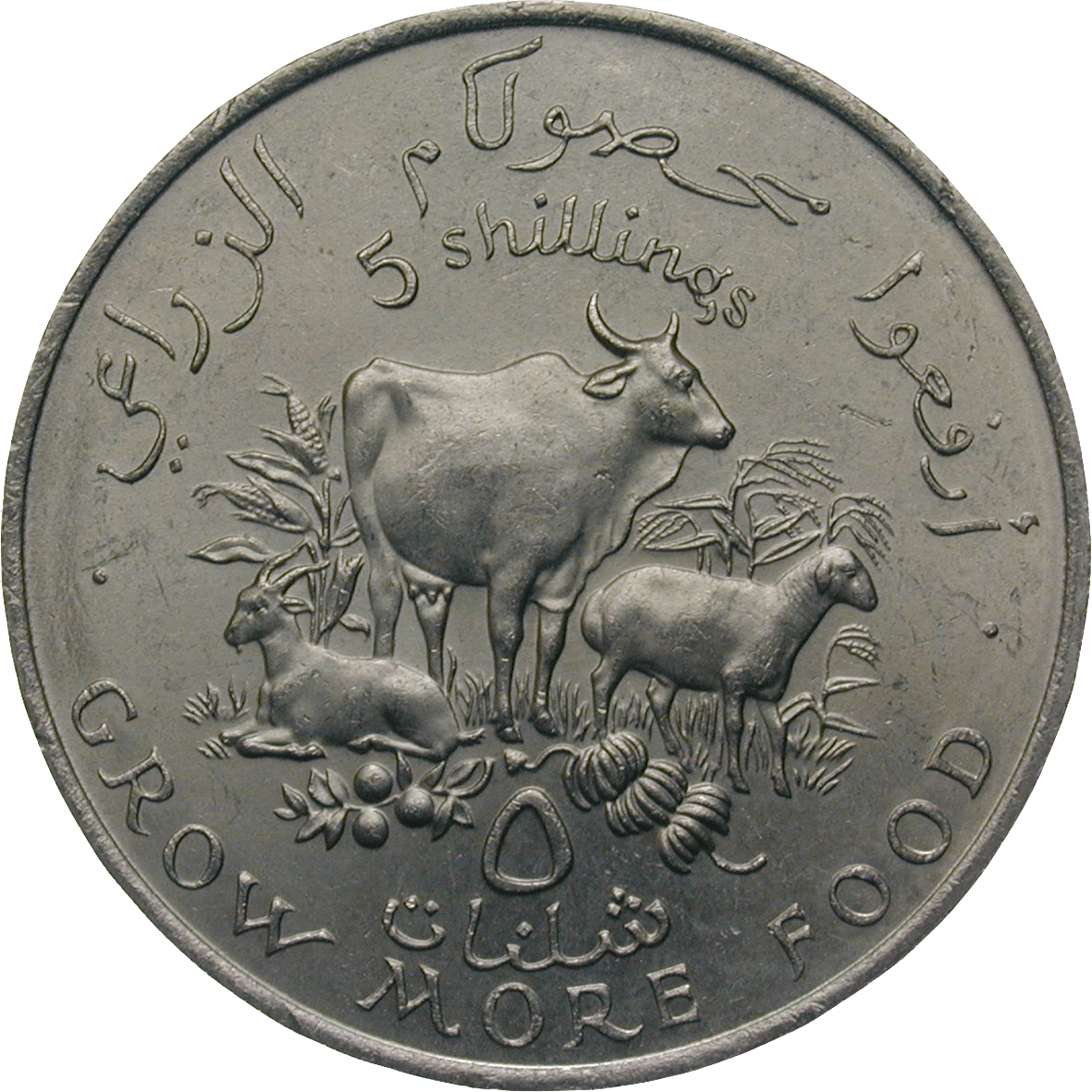 Republic of Somalia, 5 Shillings 1970 (reverse)