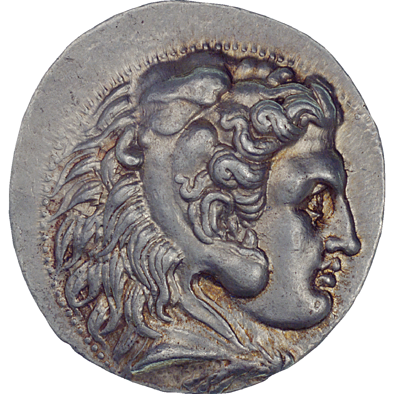 Seleucid Empire, Seleucus I Nicator, Tetradrachm (obverse)