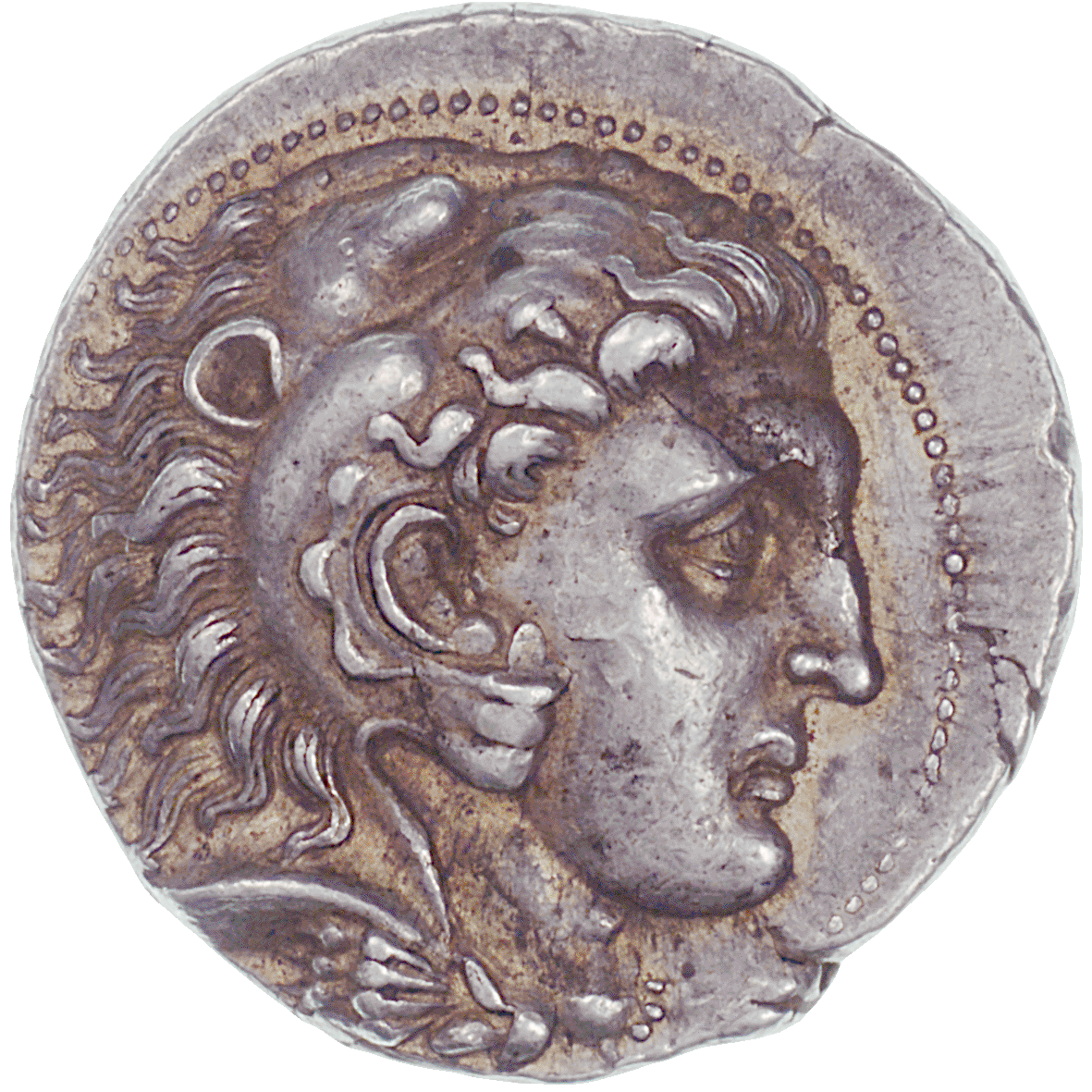 Seleukidenreich, Seleukos I. Nikator, Tetradrachme (obverse)