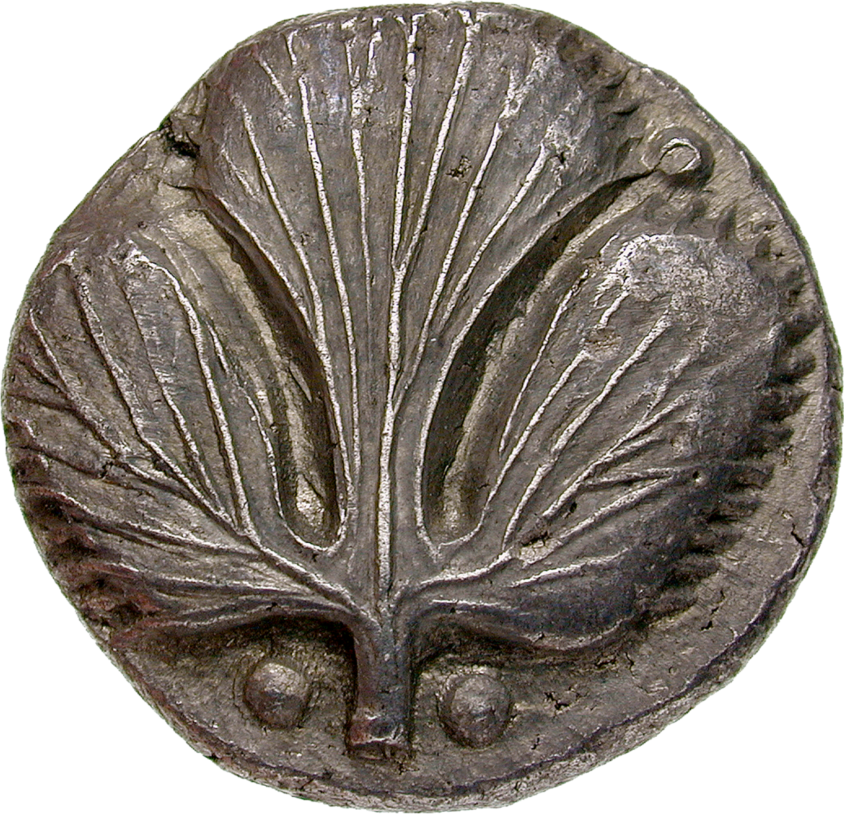 Sicily, Selinus, Sater or Didrachm (obverse)