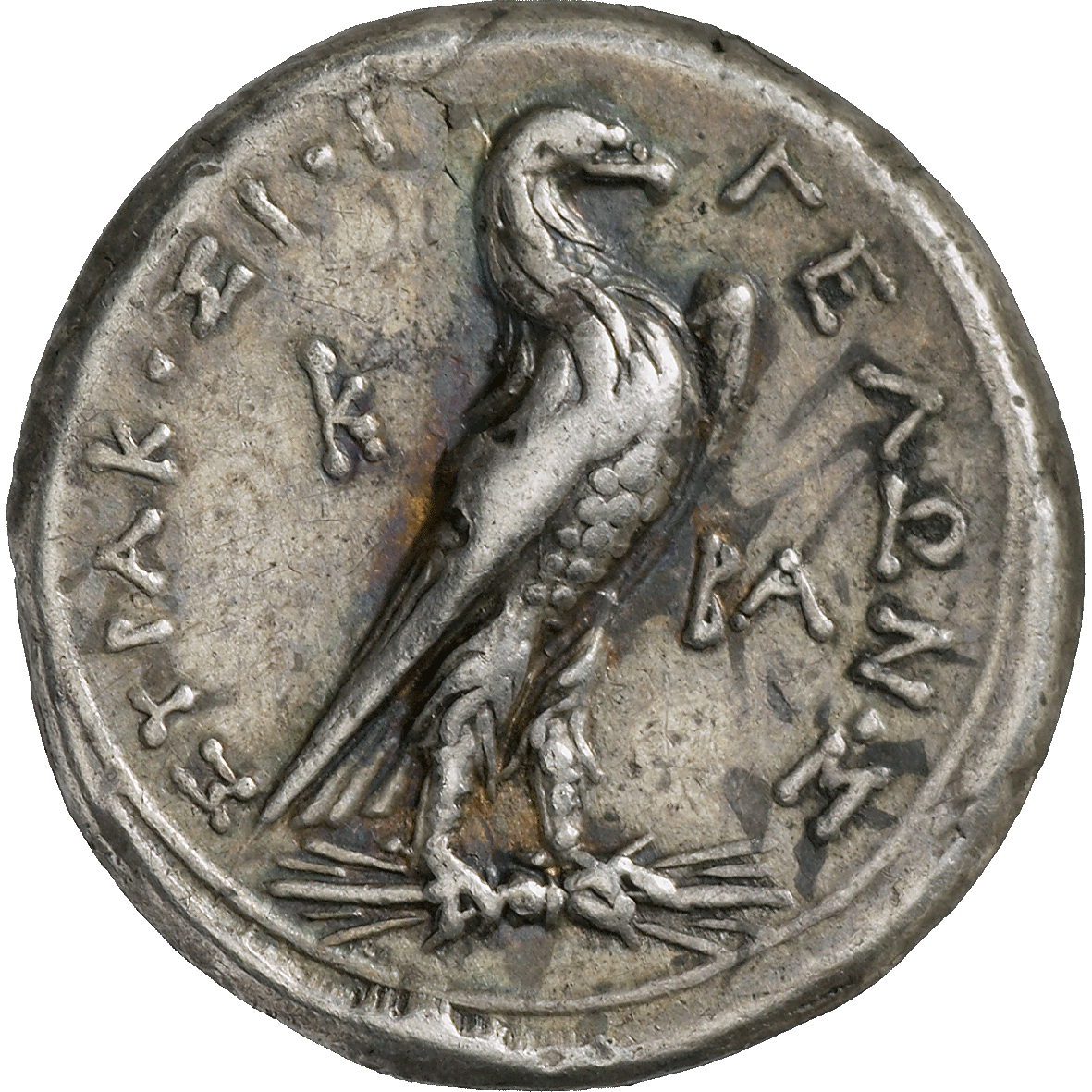 Sicily, Syracuse, Hieron II, Drachm (reverse)