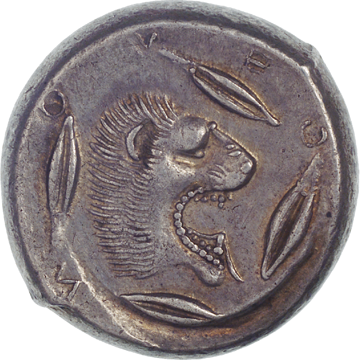 Sizilien, Leontinoi, Tetradrachme (reverse)