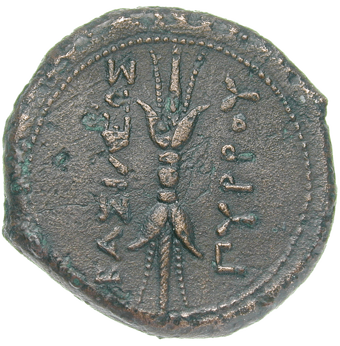 Sizilien, Syrakus, Pyrrhus I., Bronzemünze (reverse)