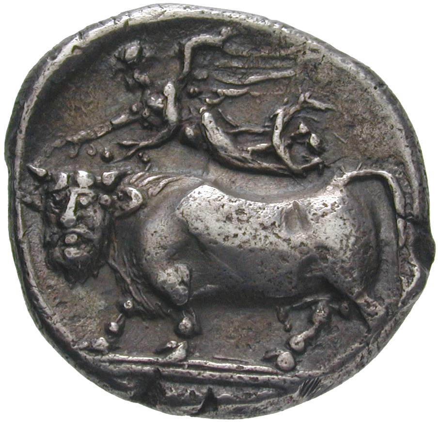Southern Italy, Campania, City of Neapolis, Stater (reverse)