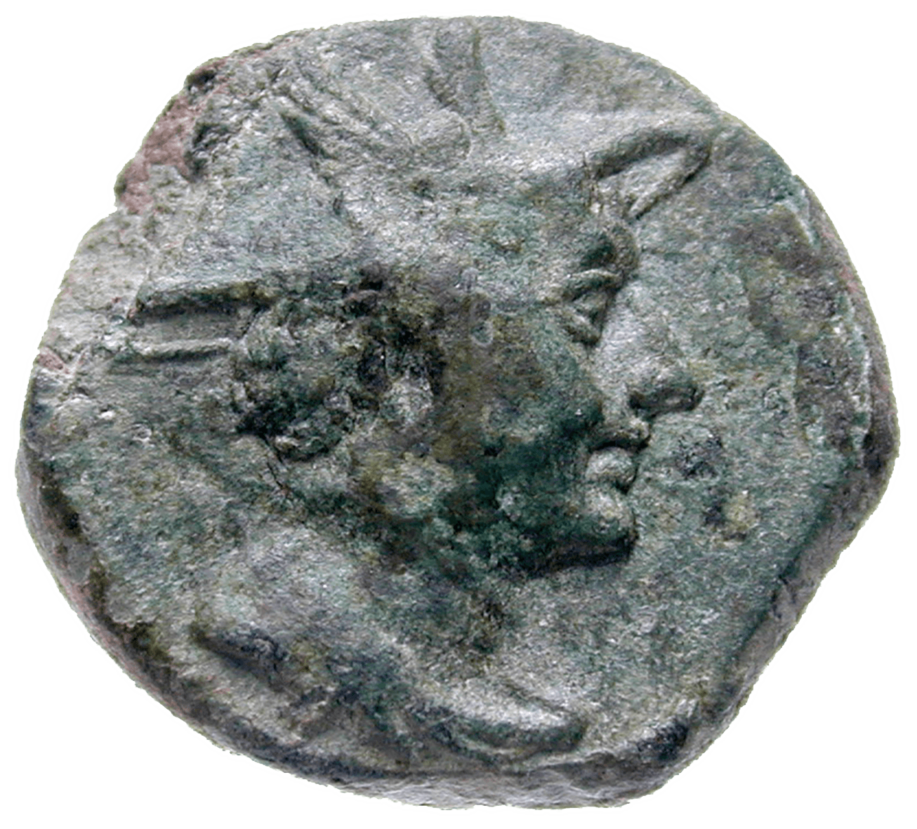 Southern Italy, Lucania, Venusia, Bronze Coin (obverse)